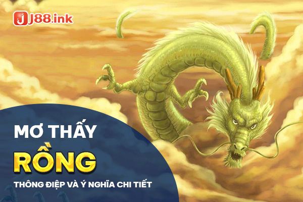 nam-mo-thay-rong